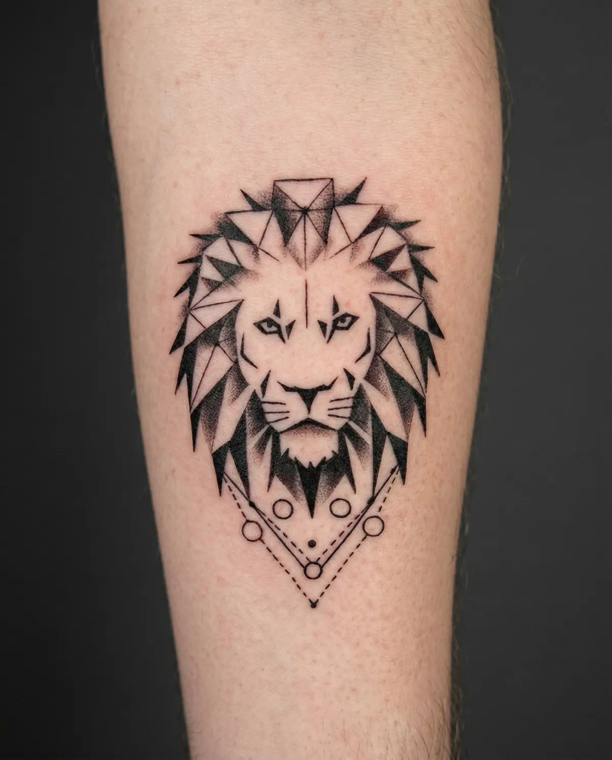 Geometrik Aslan