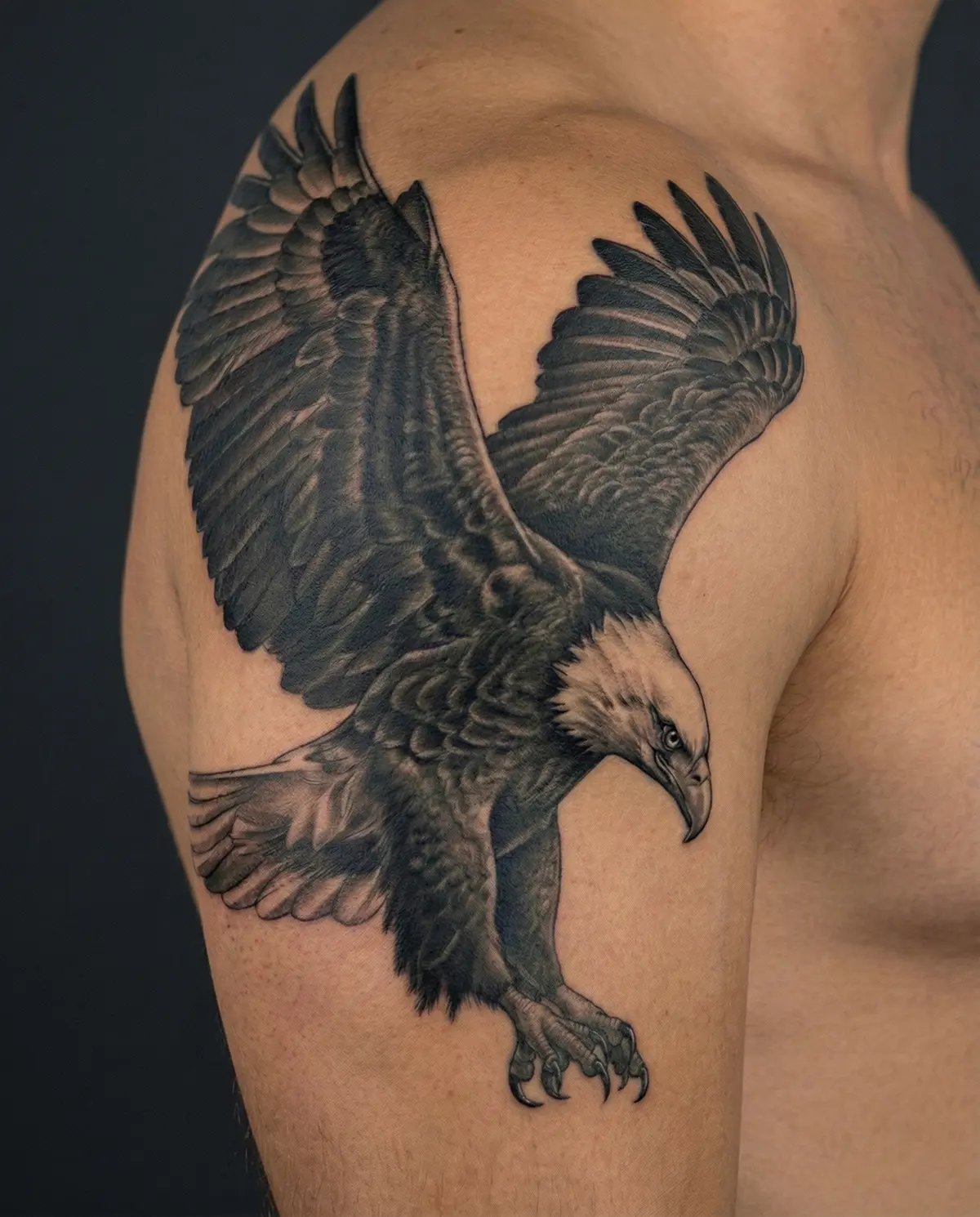 Kartal