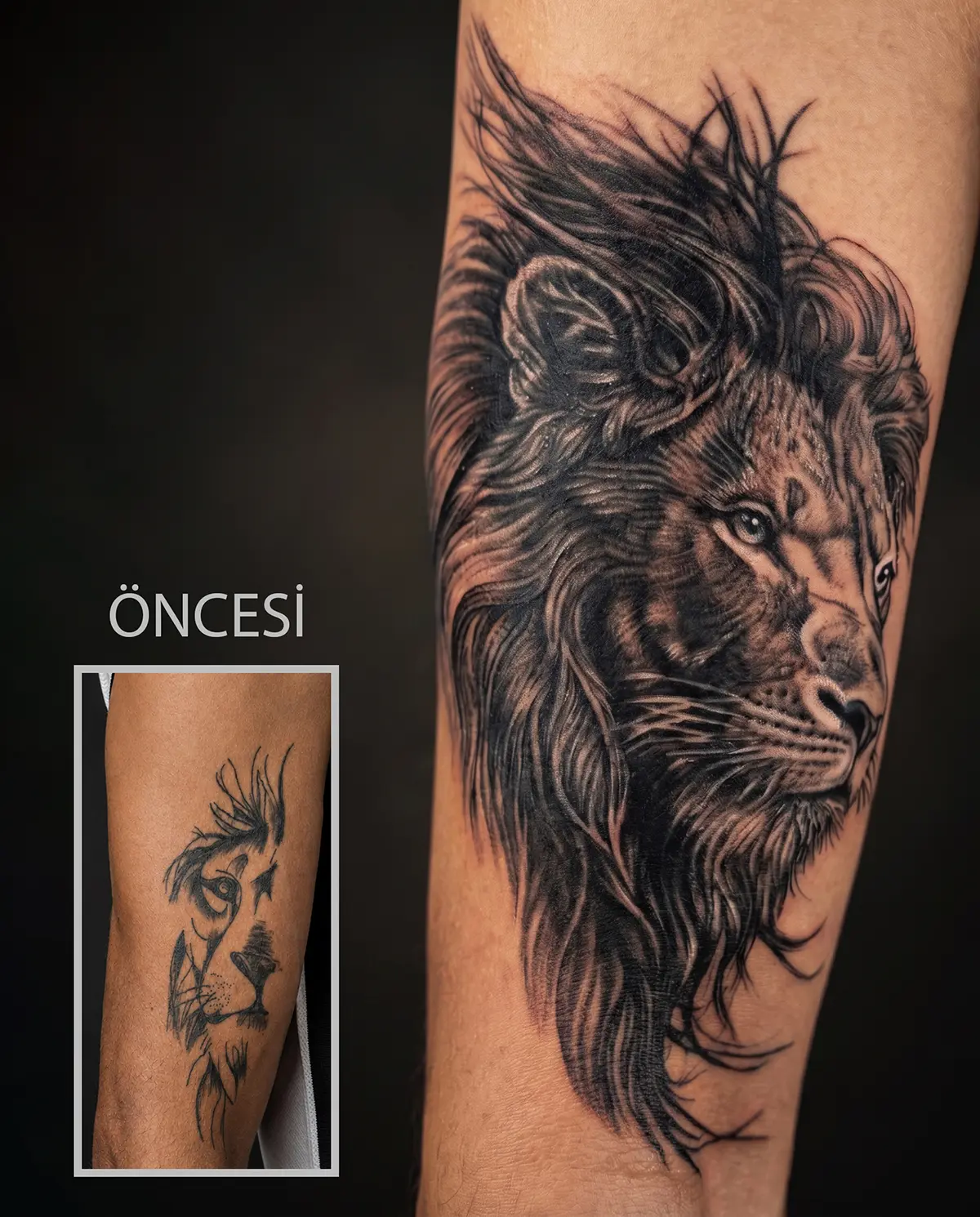 Eski dövme üzerine yapılan aslan temalı cover up dövme çalışması